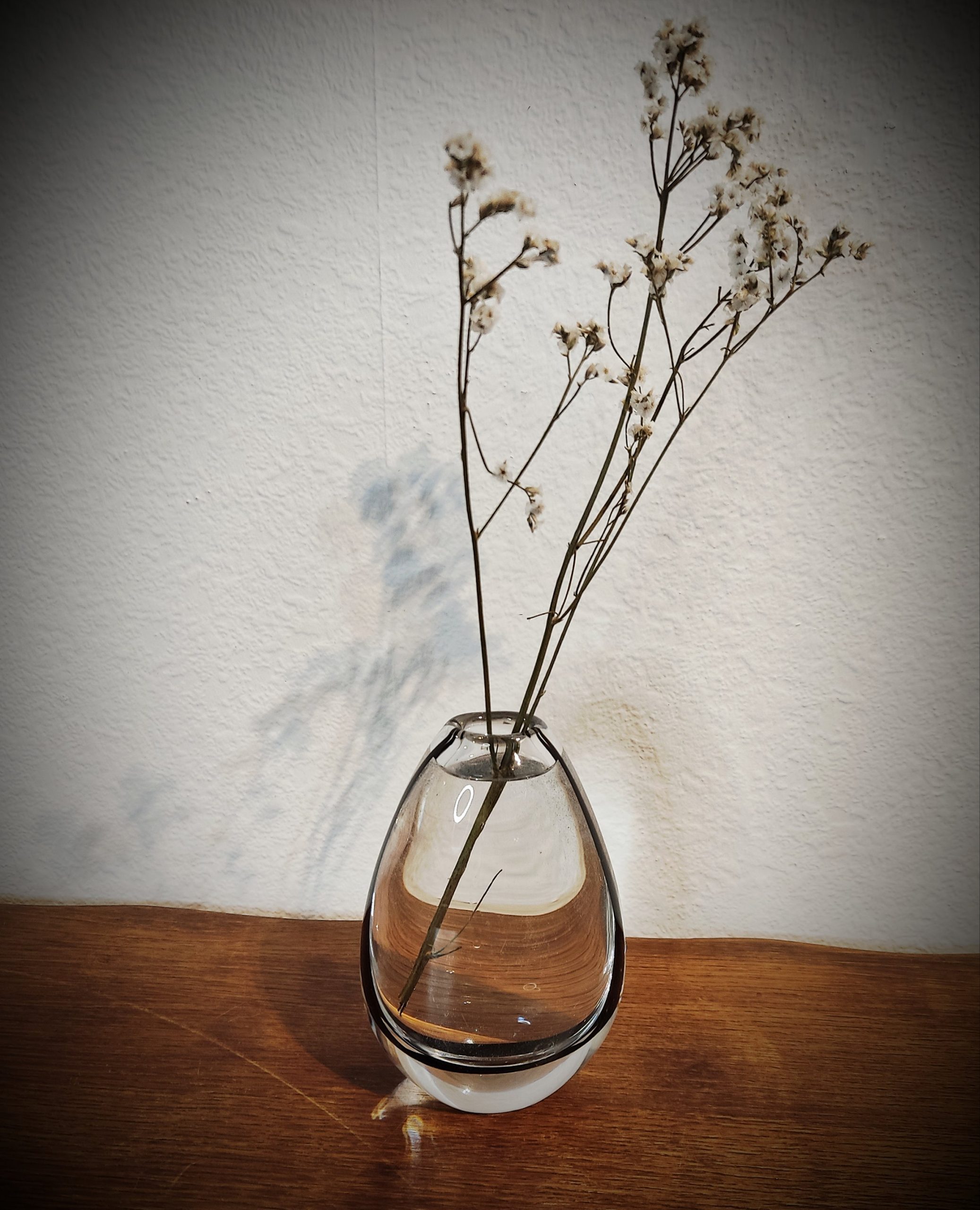 Vase kosta